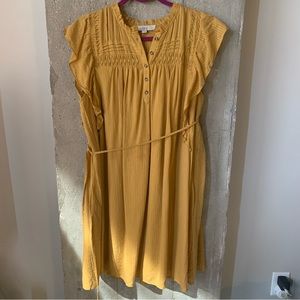 Loft Fall Dress